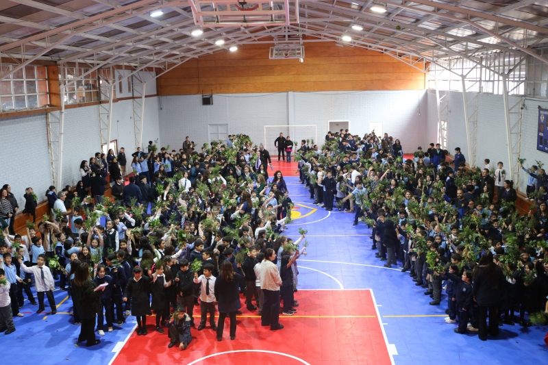 Celebración de Ramos